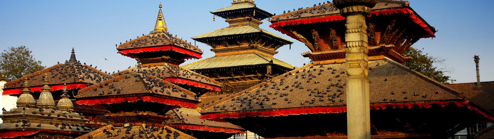 Nepal Travel Info