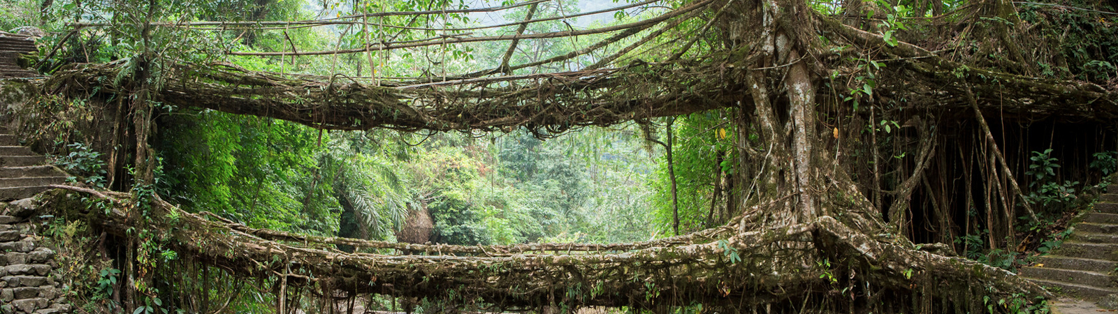 Northeast Travel Info